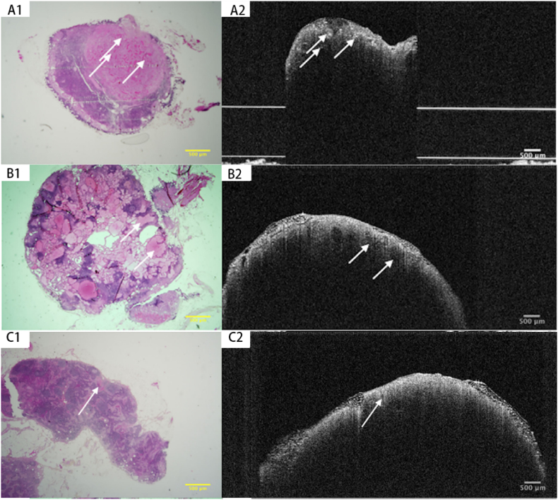 Fig. 8