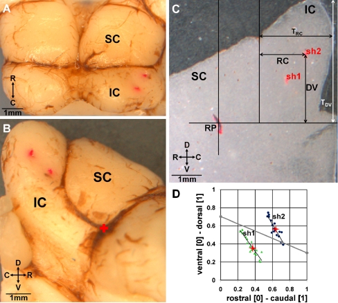 FIG. 3