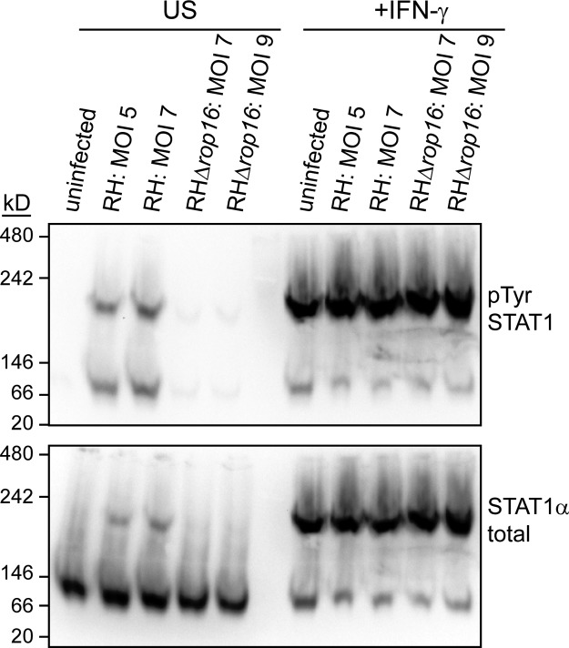 FIG 3