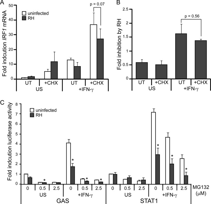 FIG 2