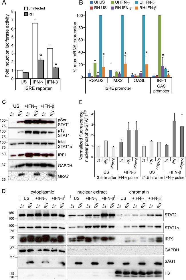 FIG 6