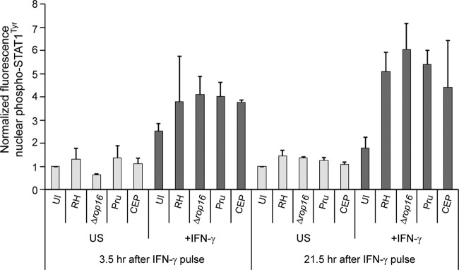 FIG 5