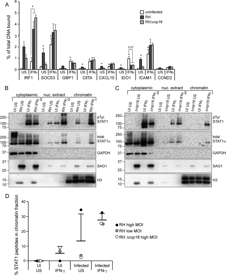 FIG 4