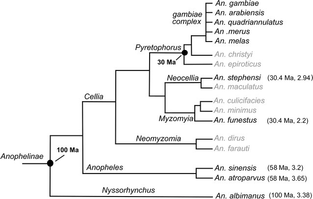 Fig. 4