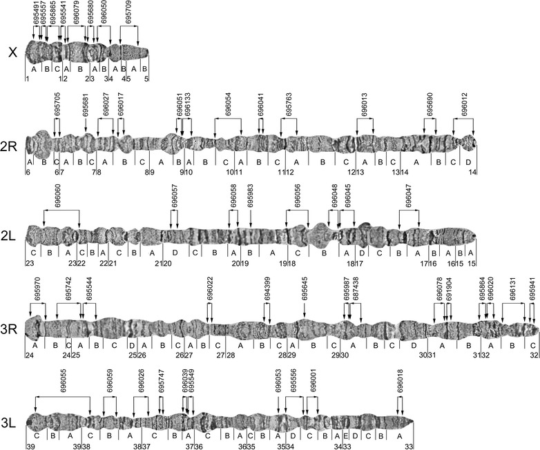 Fig. 2