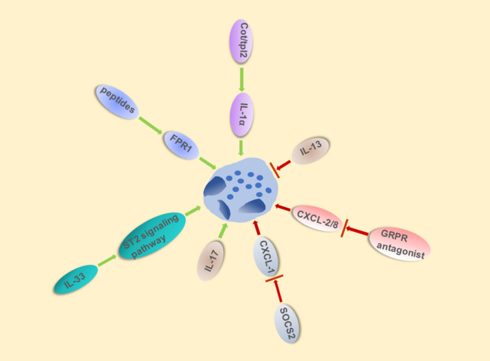 FIGURE 2