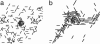 Fig. 8.