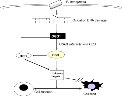 FIG. 7.