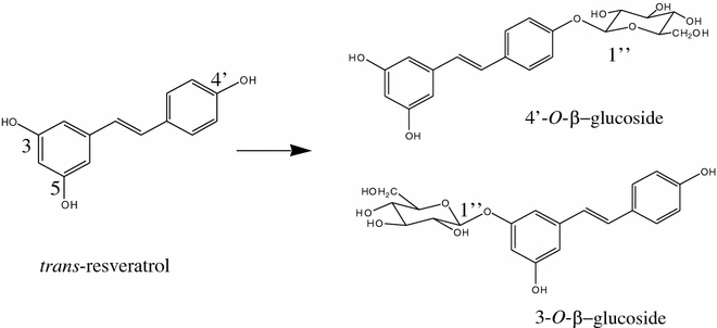 Scheme 1