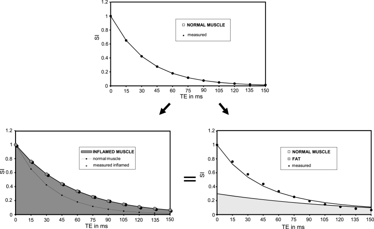 Fig.2