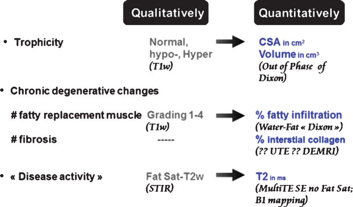 Fig.1