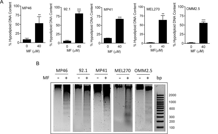 Fig. 3 