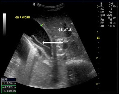 Fig. 8