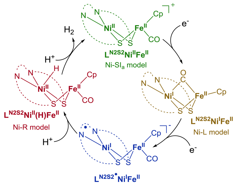 Figure 5