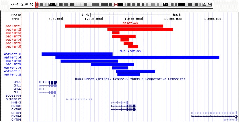 Fig. 2