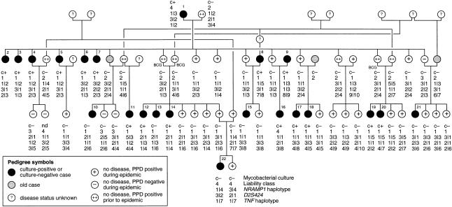 Figure  1 