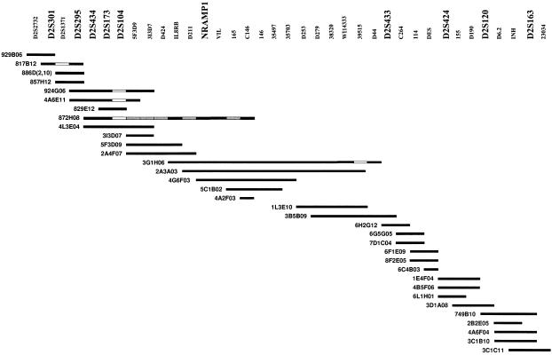 Figure  2