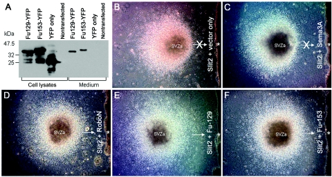 Figure  3. 