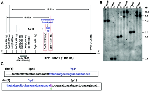 Figure  B1. 