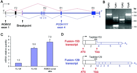 Figure  2. 