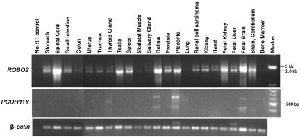 Figure  C1. 