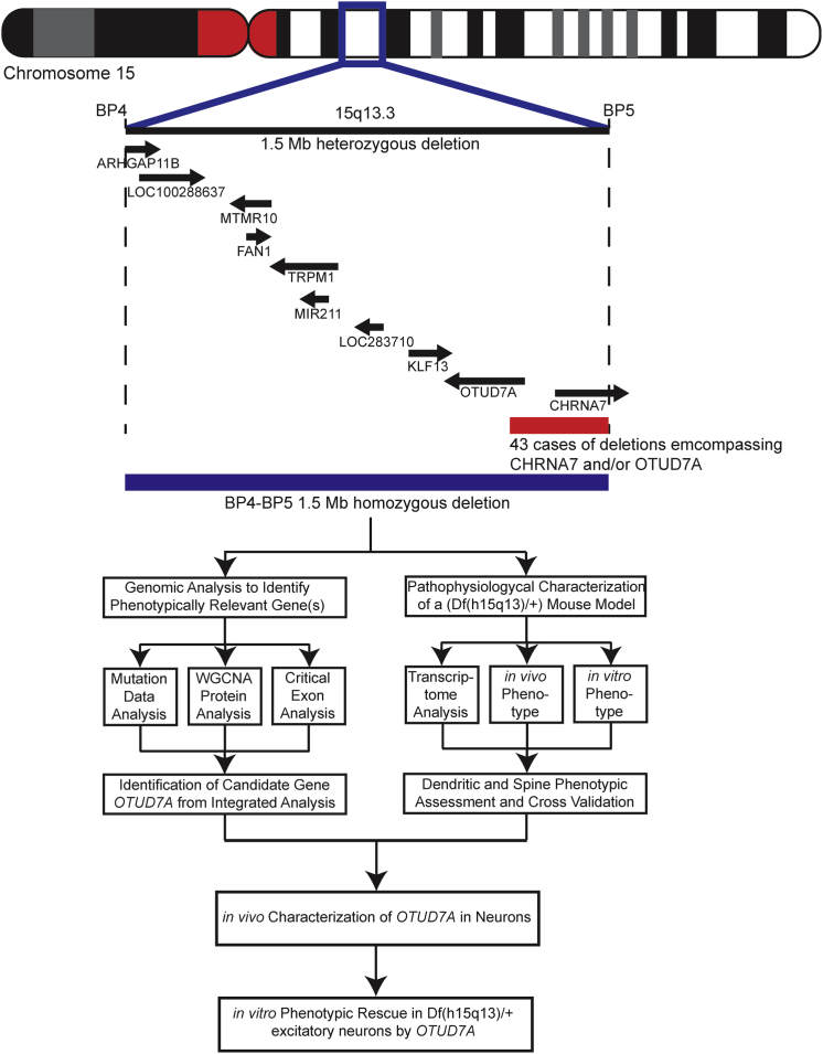 Figure 1