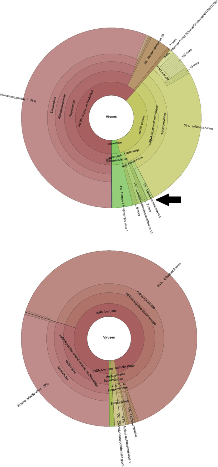 Figure 5