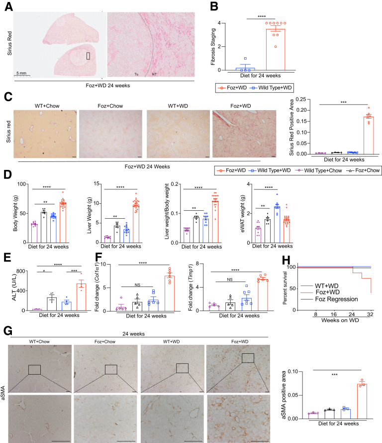 Figure 14