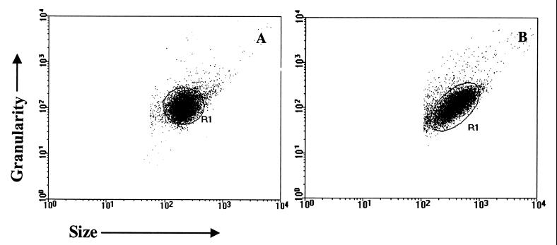 FIG. 1