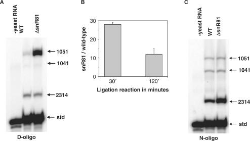 Figure 4.