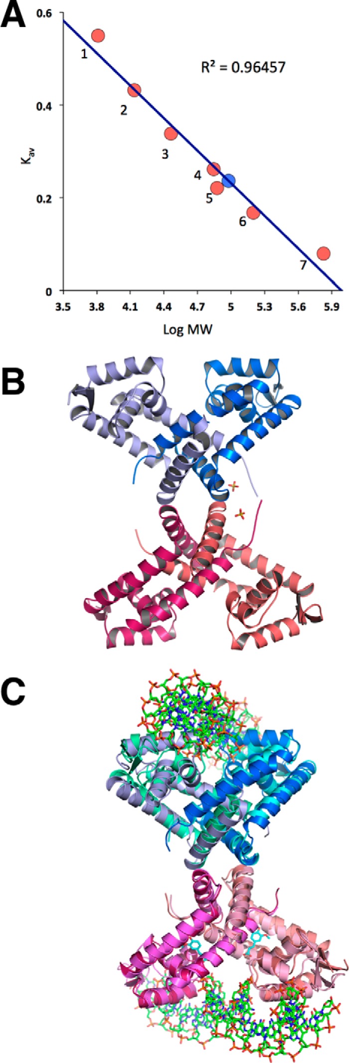 FIGURE 4.