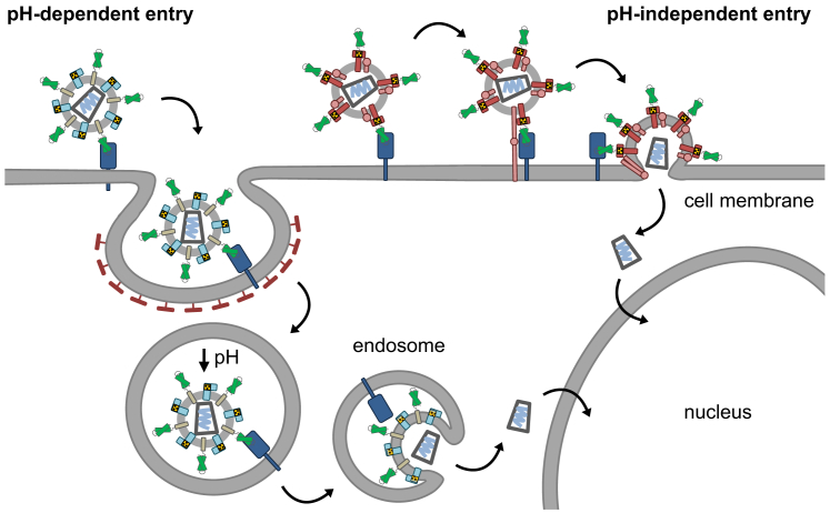 Figure 2