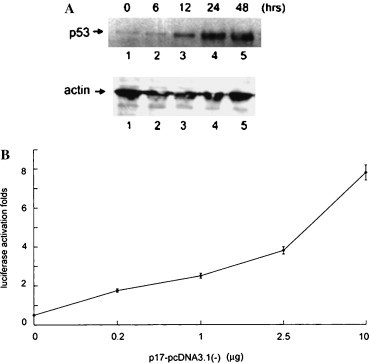 Fig. 5