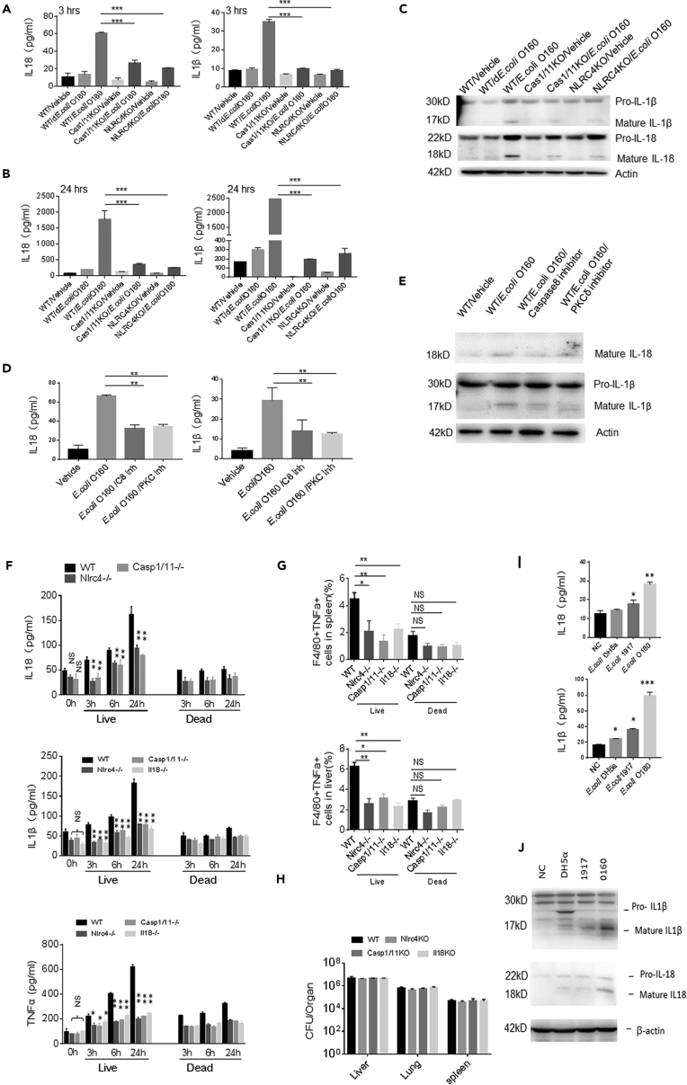 Figure 6