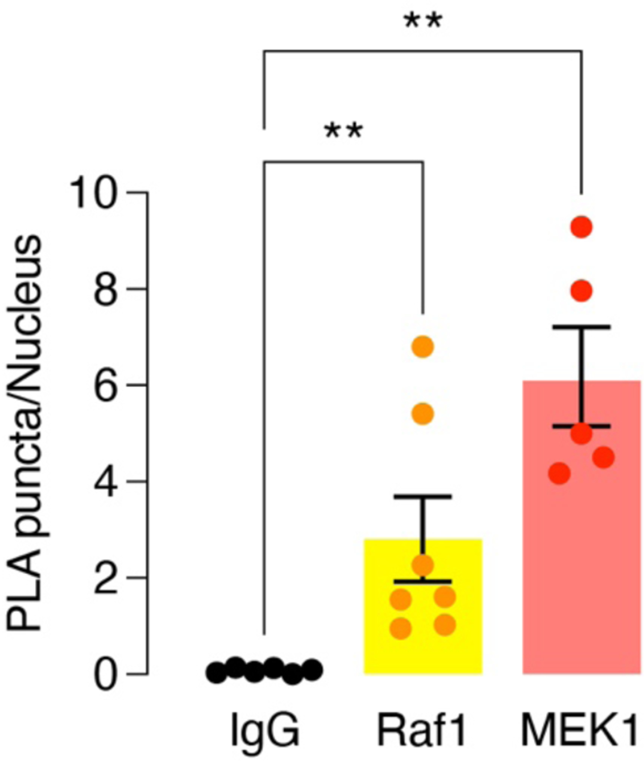 Extended Data Fig. 5.