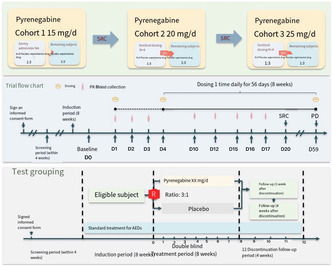 graphic file with name CNS-30-e70002-g001.jpg