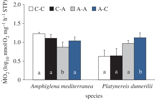 Figure 4.