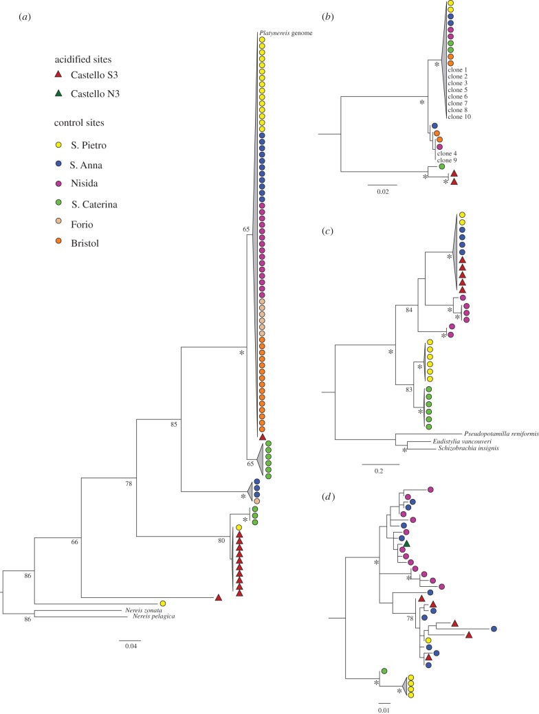 Figure 5.