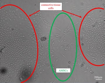 Fig. 3