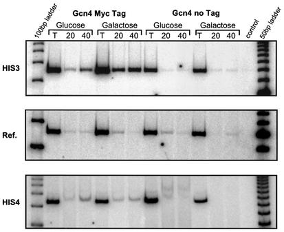 FIG. 5.