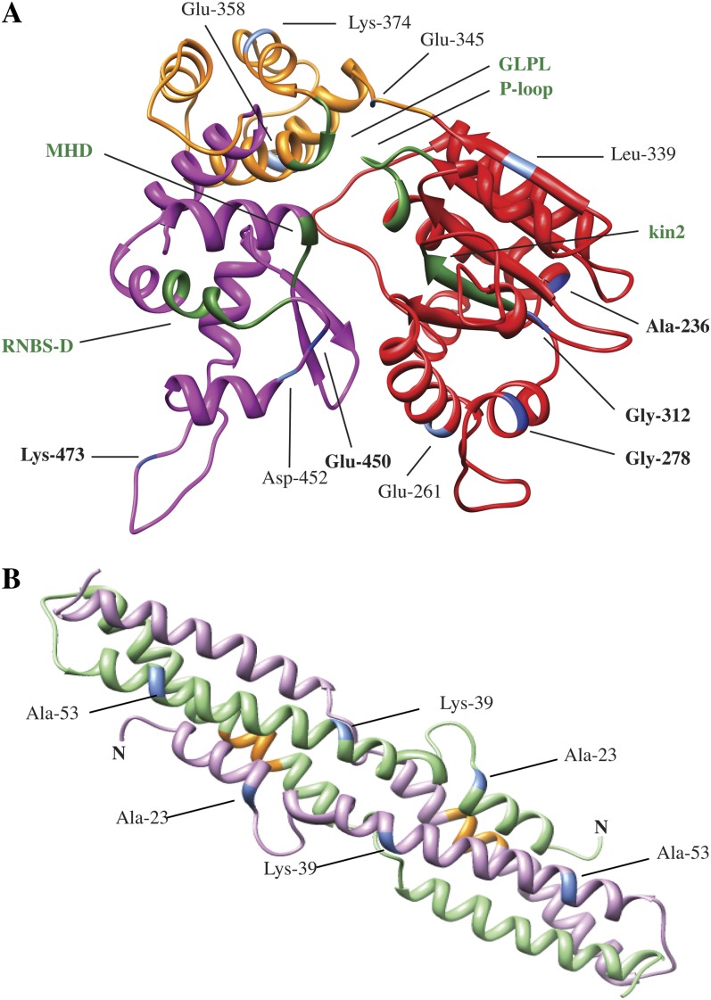 Figure 7.