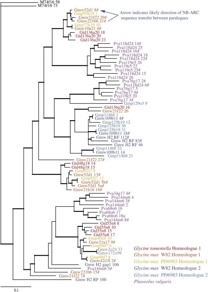 Figure 3.