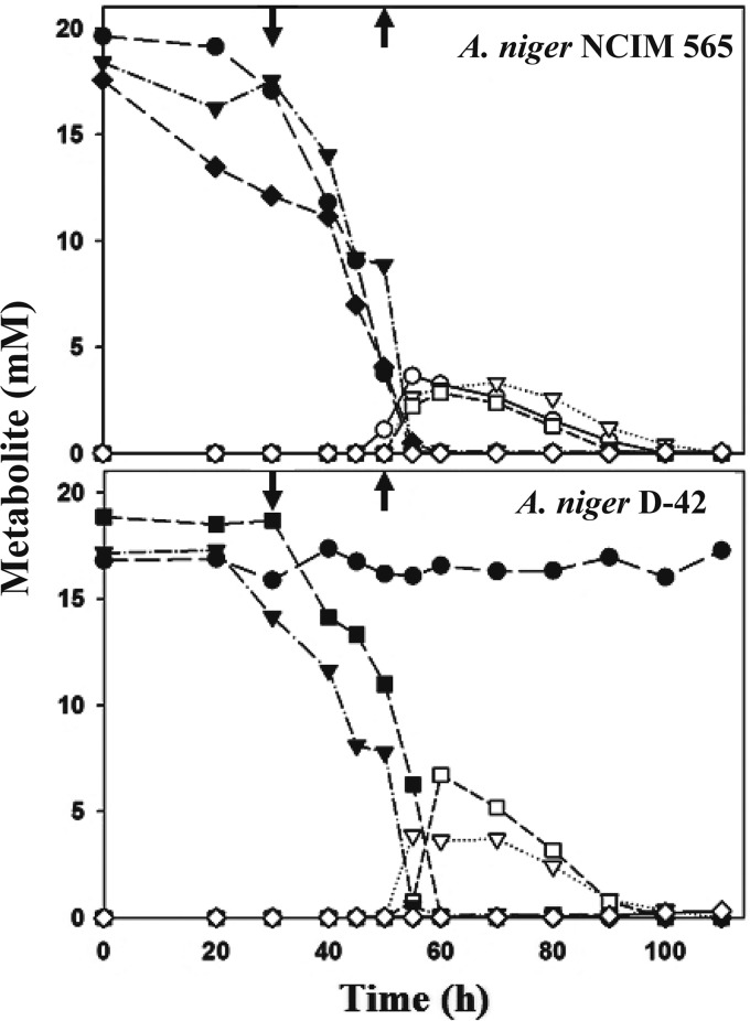 FIG 4