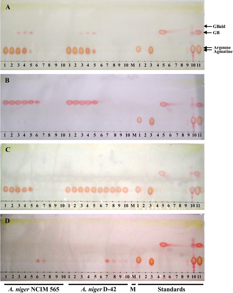 FIG 3