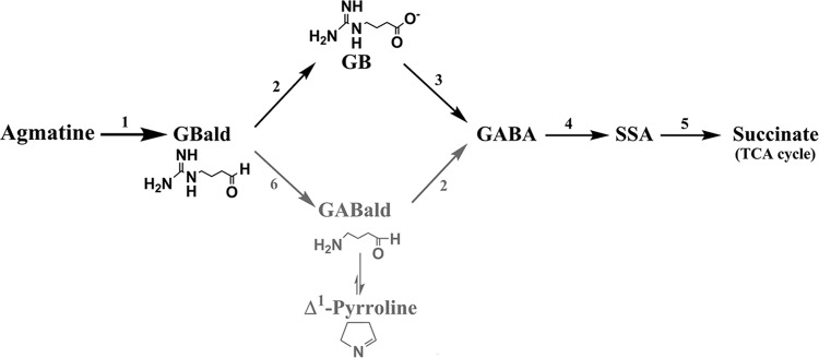 FIG 6