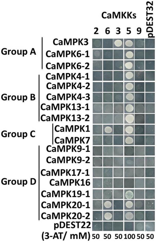 Figure 11