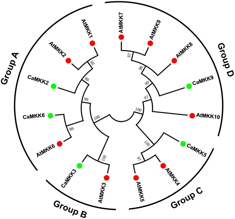 Figure 4