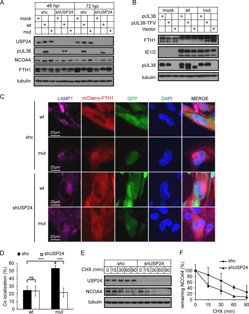 FIG 6