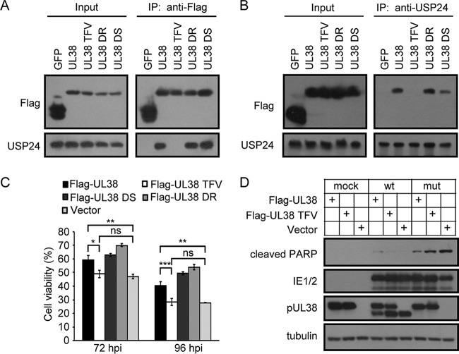 FIG 2