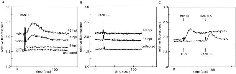 FIG. 6